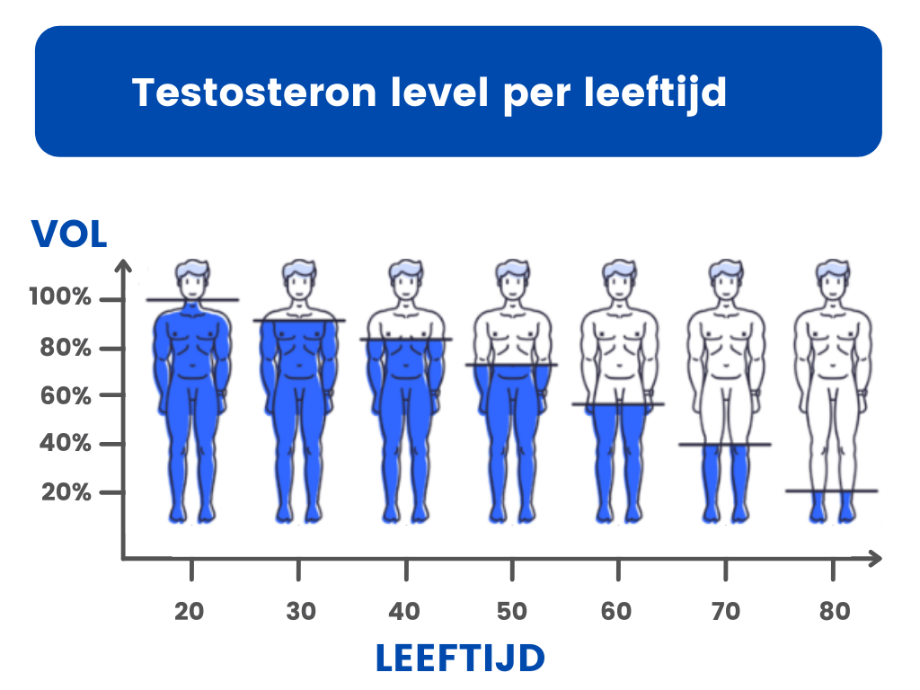 testosteron leeftijd grafiek
